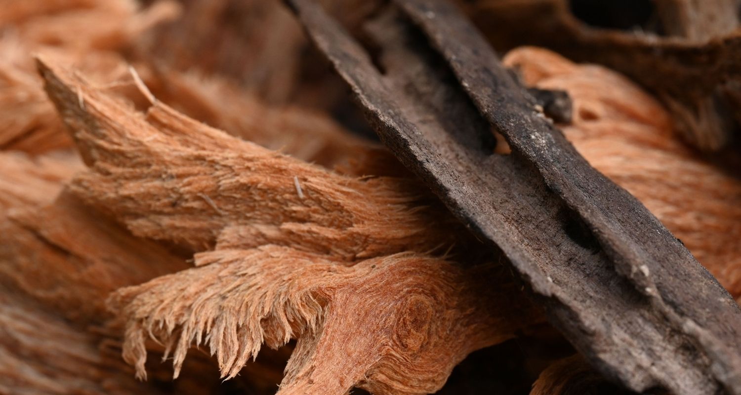 What Does Sandalwood Smell Like? The Sensual Note Behind Santal Fragrances