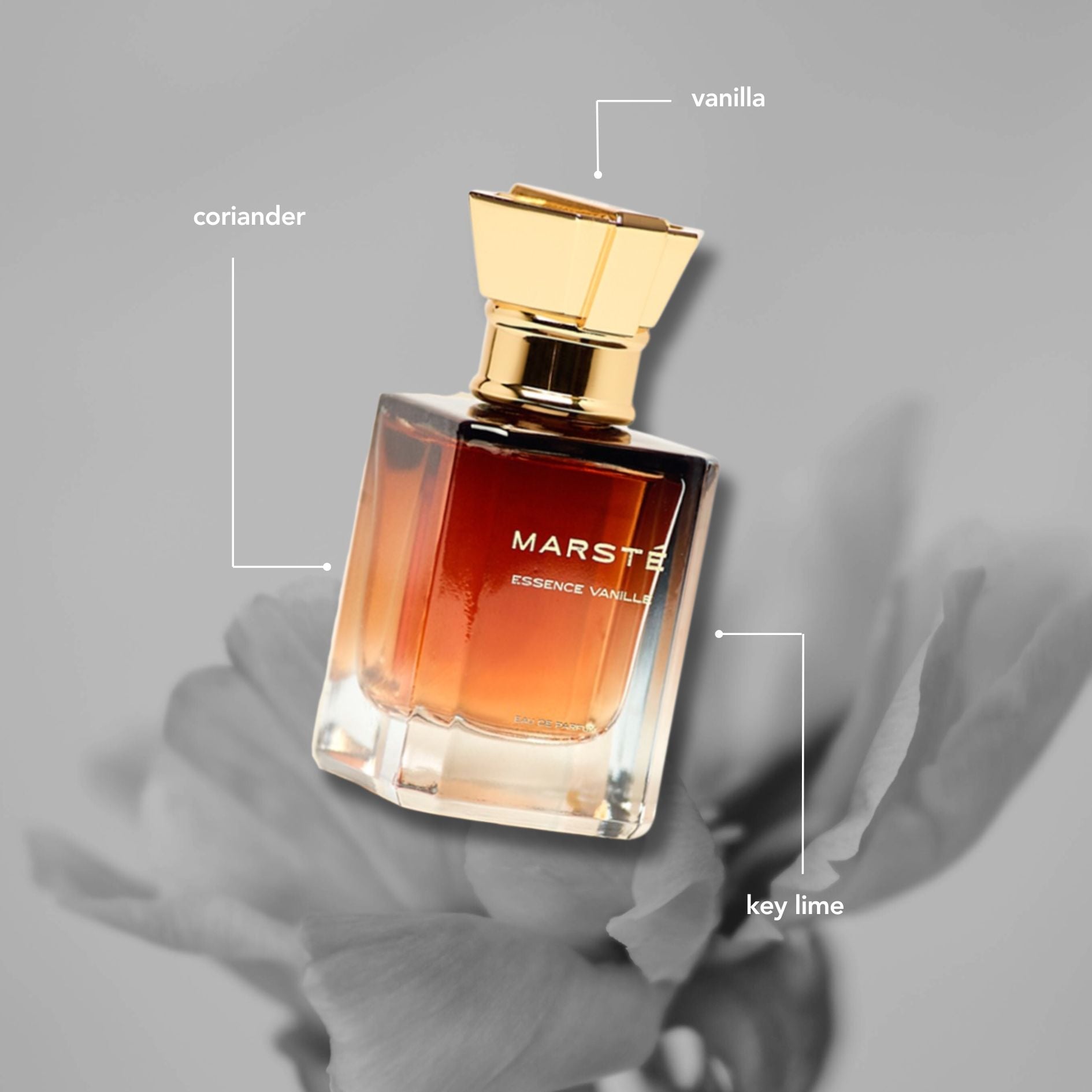 Seductive & Sensual Fusion- Une Nuit + Essence Vanille