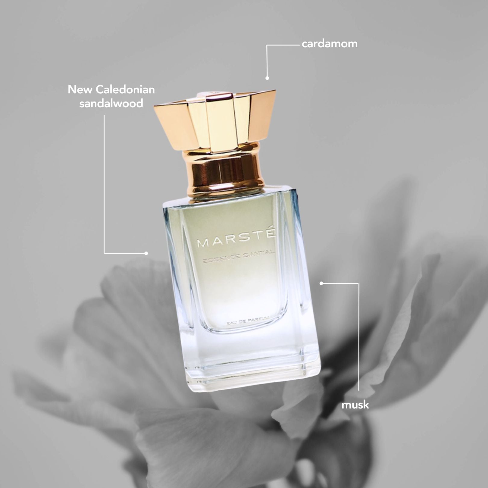 Dreamy & Intriguing Fusion - Jardin du Luxembourg + Essence Santal